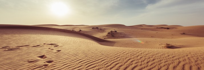 A desert scene to depict a lack of comprehensible input today